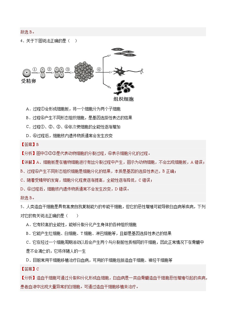 高考生物一轮考点通关卷14  细胞分化、衰老、凋亡和癌变（解析版）第3页