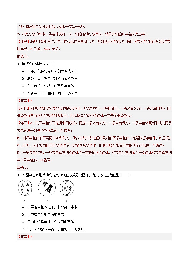 高考生物一轮考点通关卷13 减数分裂和受精作用（解析版）第3页