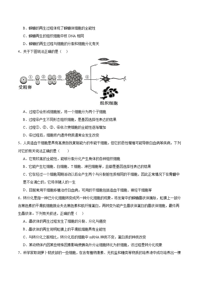 高考生物一轮考点通关卷14  细胞分化、衰老、凋亡和癌变（原卷版）第2页