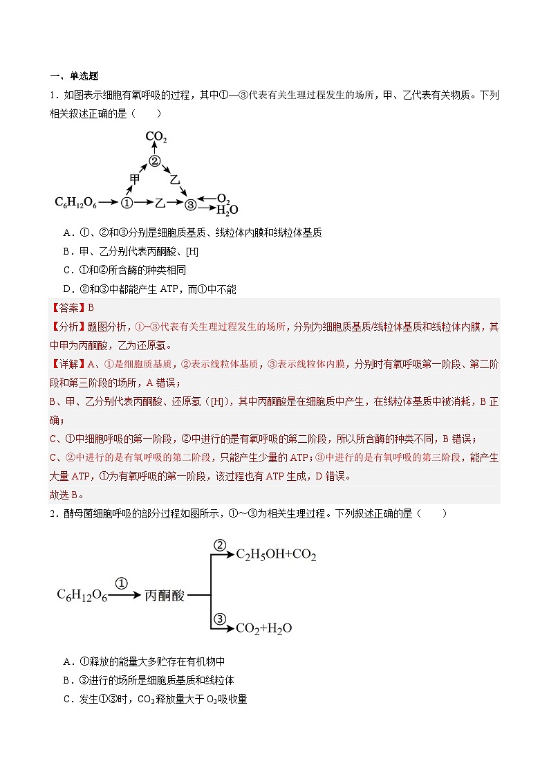 高考生物一轮考点通关卷09 细胞呼吸（解析版）第2页