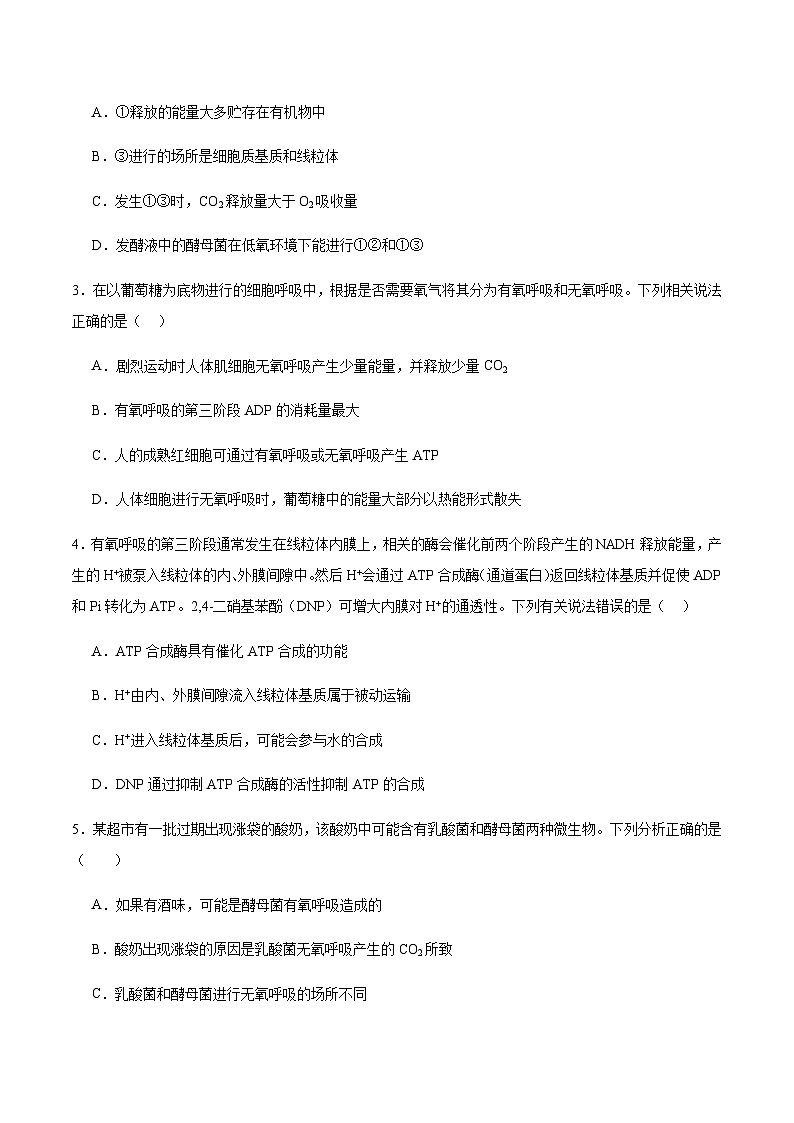 高考生物一轮考点通关卷09 细胞呼吸（原卷版）第3页