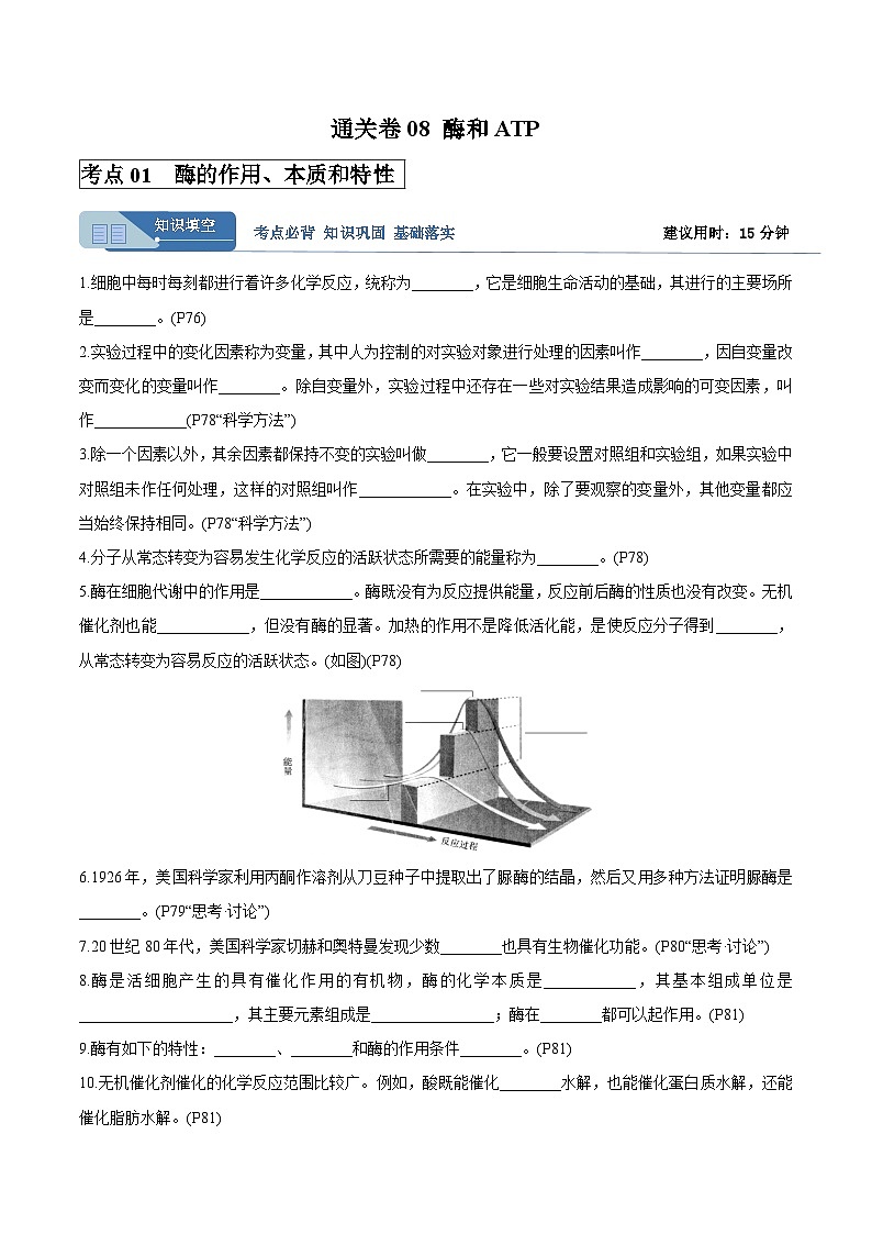 高考生物一轮考点通关卷08 酶和ATP（原卷版）第1页