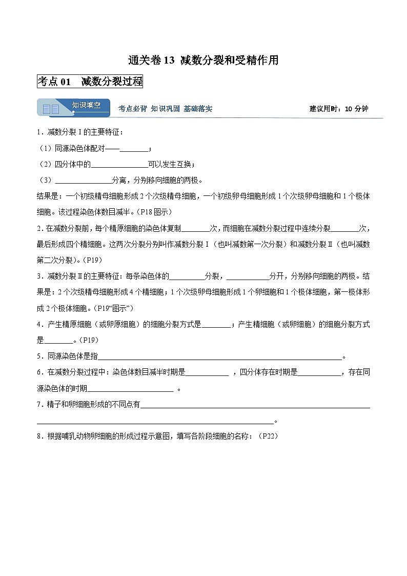 高考生物一轮考点通关卷13  减数分裂和受精作用（原卷版）第1页
