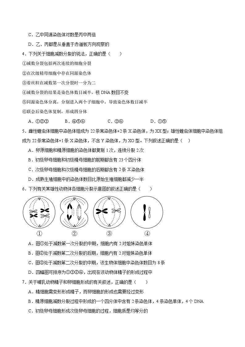 高考生物一轮考点通关卷13  减数分裂和受精作用（原卷版）第3页