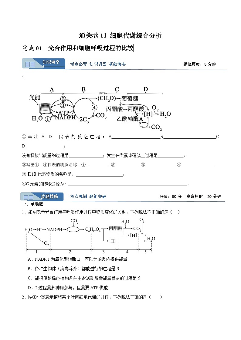 高考生物一轮考点通关卷11 细胞代谢综合分析（原卷版）第1页
