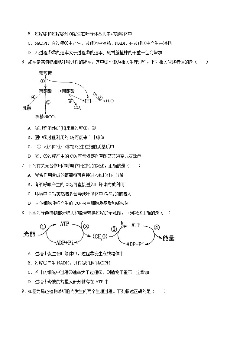 高考生物一轮考点通关卷11 细胞代谢综合分析（原卷版）第3页