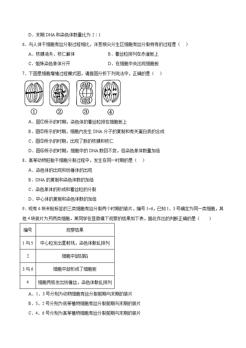 高考生物一轮考点通关卷12 细胞增殖（原卷版）第3页