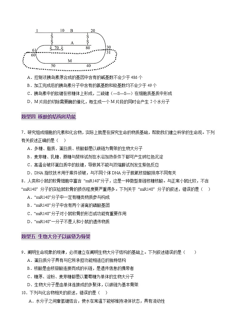 高考生物一轮-蛋白质和核酸（练习）（原卷版）第3页