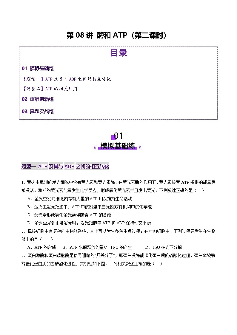 高考生物一轮-酶和ATP（第二课时）（练习）（原卷版）第1页