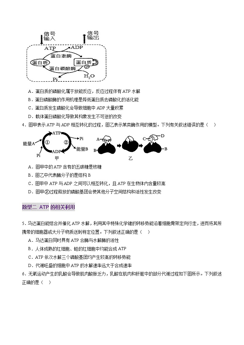 高考生物一轮-酶和ATP（第二课时）（练习）（原卷版）第2页
