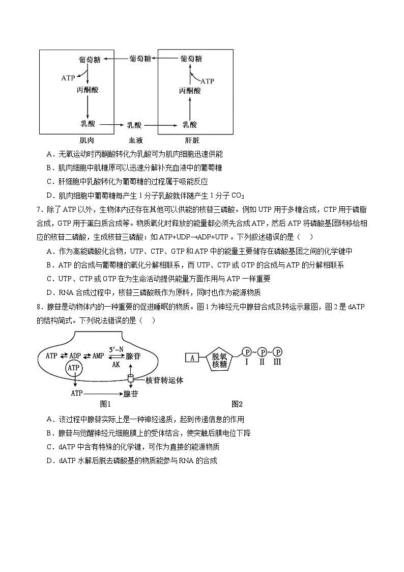 高考生物一轮-酶和ATP（第二课时）（练习）（原卷版）第3页