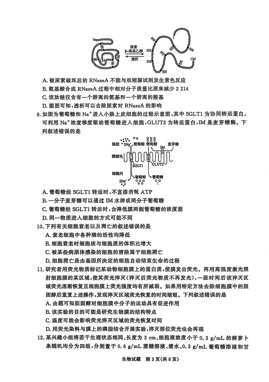 生物试卷第3页