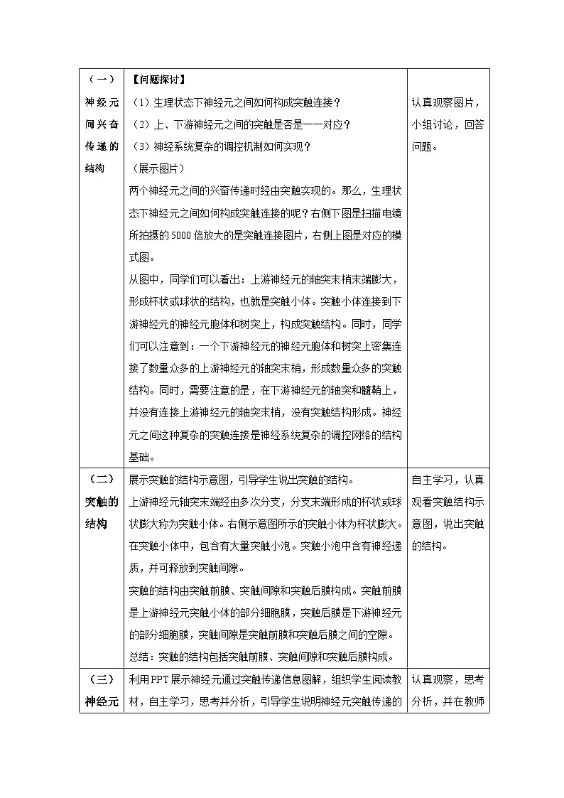2.3 神经冲动的产生和传导（第2课时）--教学设计-2025-2026学年高二上学期《生物》（人教版）选择性必修1第2页