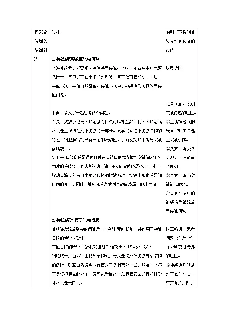 2.3 神经冲动的产生和传导（第2课时）--教学设计-2025-2026学年高二上学期《生物》（人教版）选择性必修1第3页