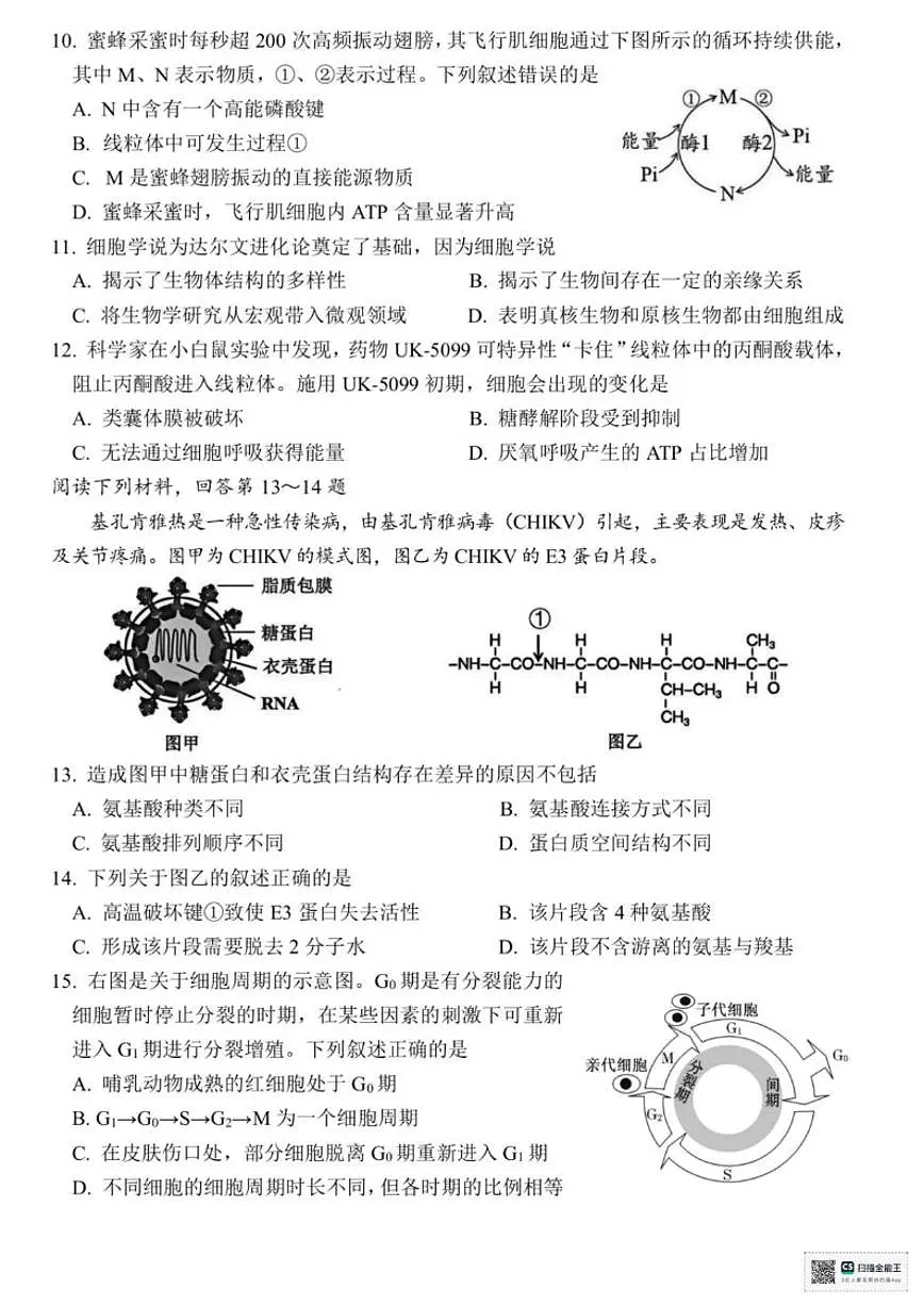 浙江湖州市2025学年第一学期期末调研测高一生物学试卷（含答案）第2页