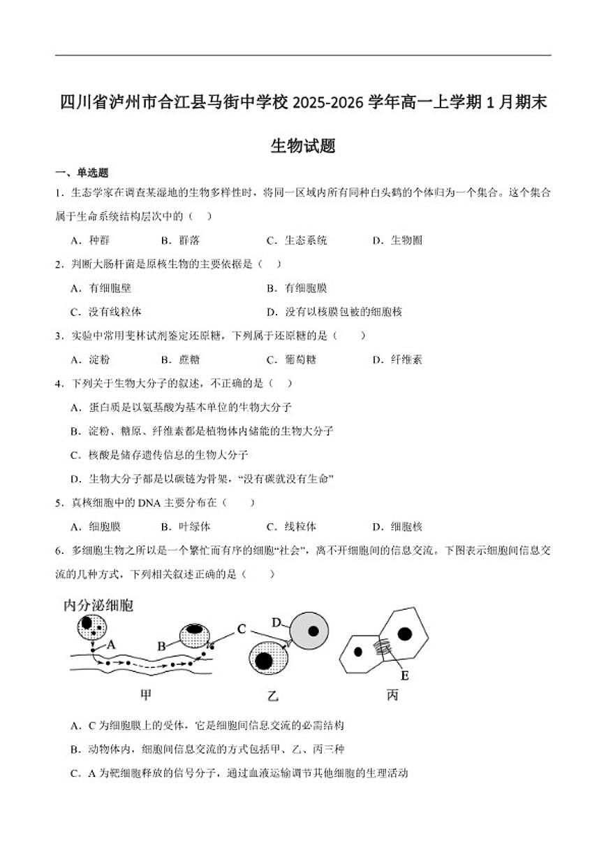 2025-2026学年四川省泸州市合江县马街中学校高一上学期1月期末生物试卷（含答案）第1页