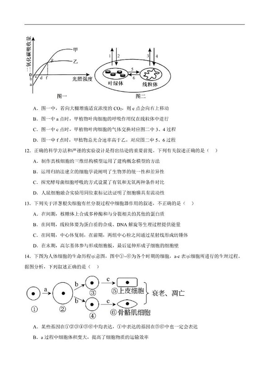 2025-2026学年四川省泸州市合江县马街中学校高一上学期1月期末生物试卷（含答案）第3页