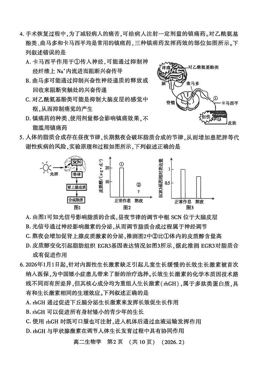 河南洛阳市2025-—2026学年第一学期期末考试高二生物学试卷（含答案）第2页