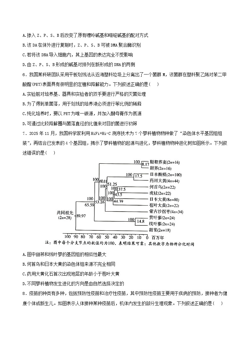 四省联考2026届高三生物上学期1月联考试题含解析第2页