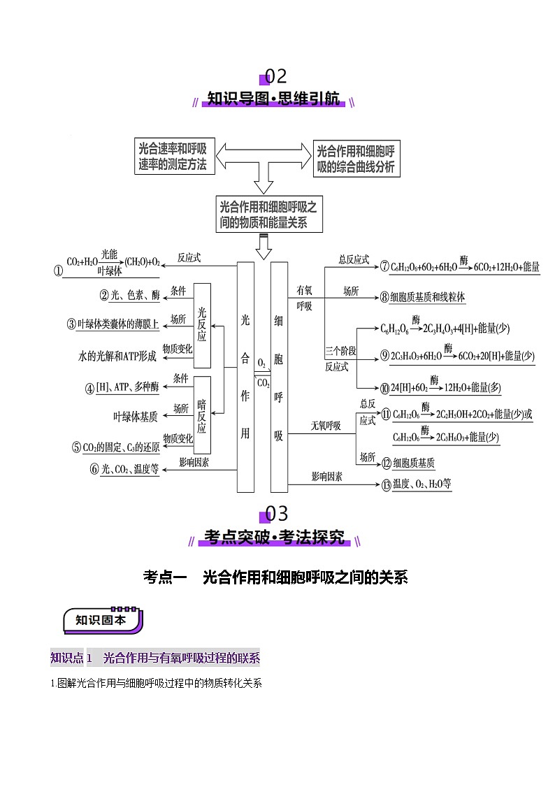 高考生物一轮-细胞代谢综合分析（讲义）（解析版）第2页