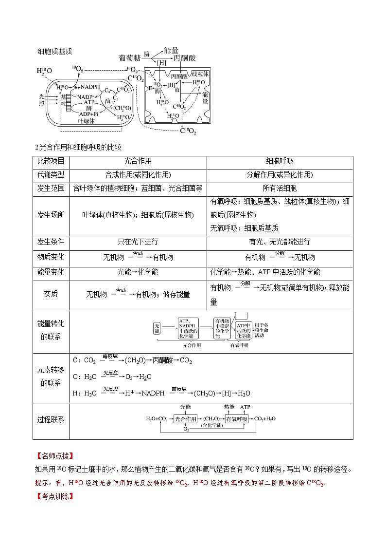 高考生物一轮-细胞代谢综合分析（讲义）（解析版）第3页
