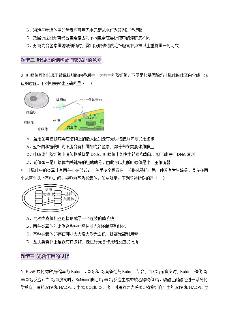 高考生物一轮-光合作用（第一课时）（练习）（原卷版）第2页