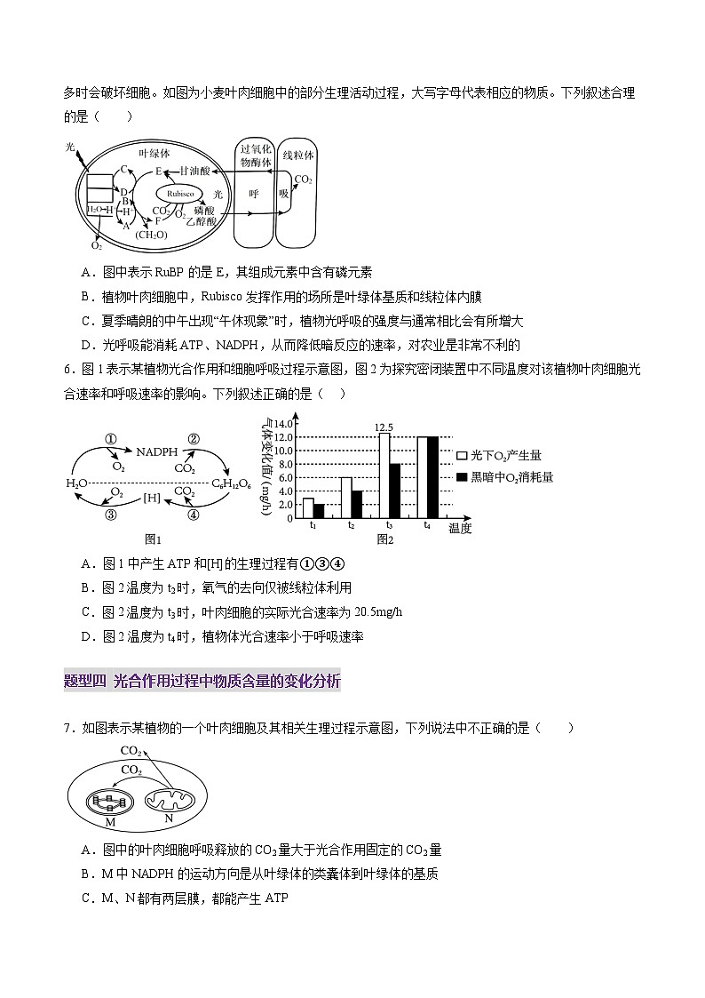 高考生物一轮-光合作用（第一课时）（练习）（原卷版）第3页