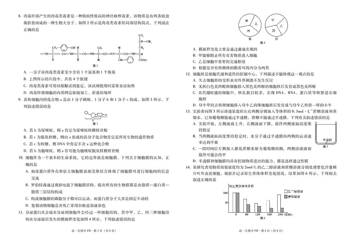 2025~2026学年度第一学期高一年级第二次月考生物-试卷第2页