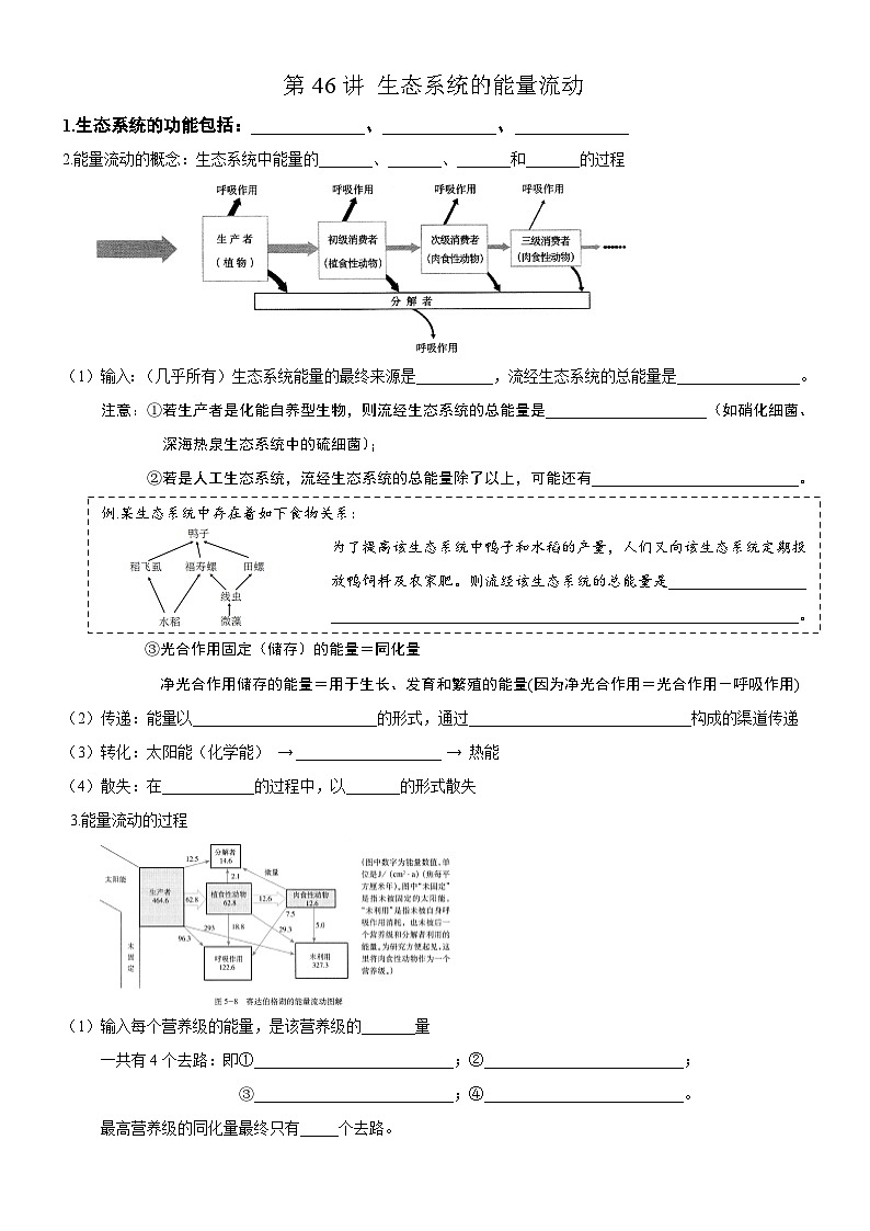 高考生物一轮-生态系统的能量流动（知识清单）第1页