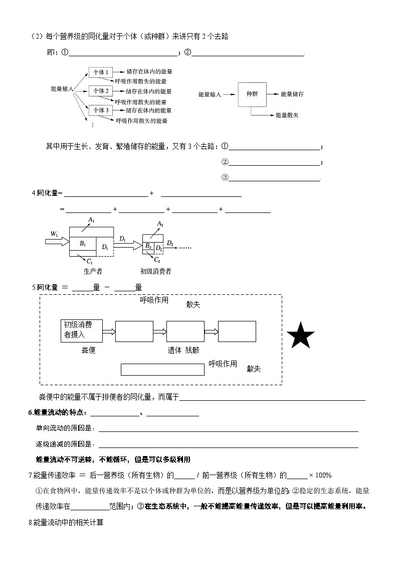 高考生物一轮-生态系统的能量流动（知识清单）第2页