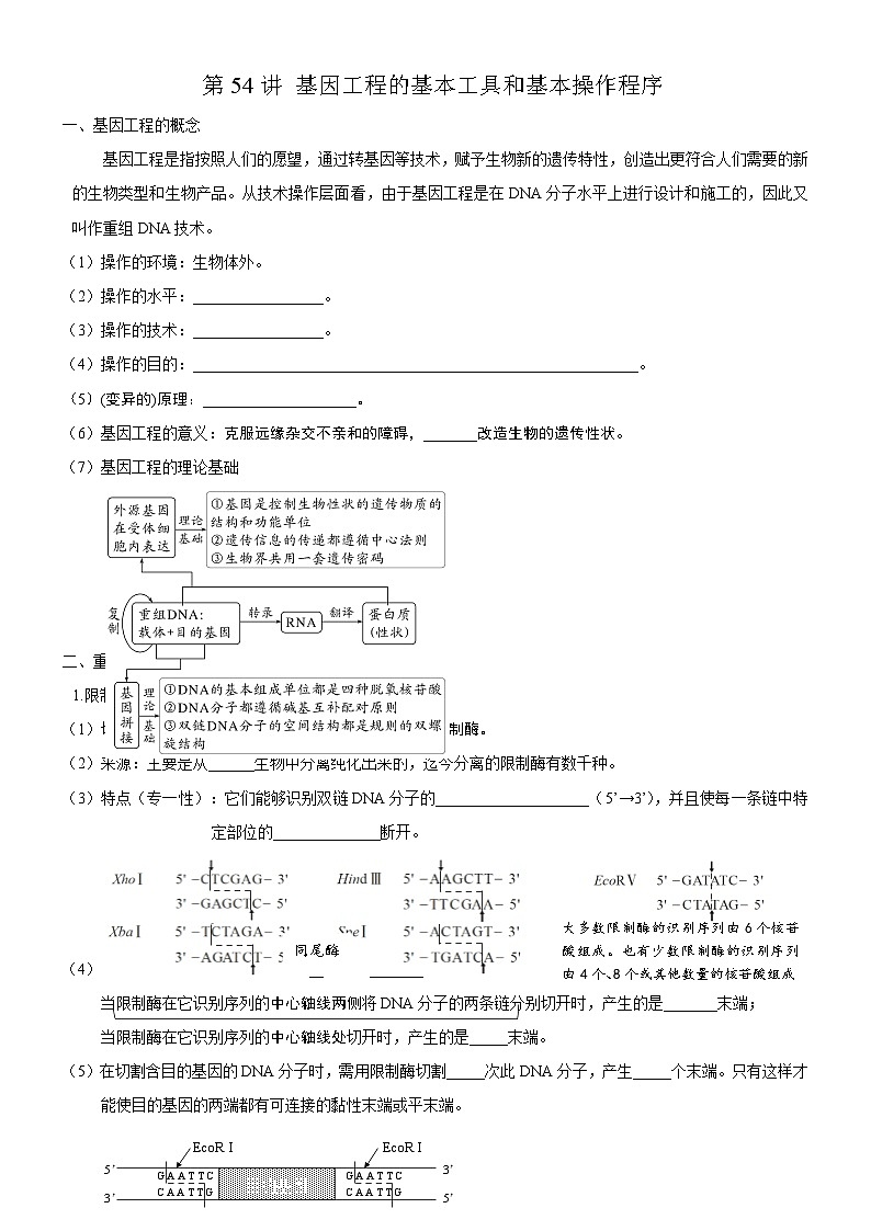 高考生物一轮-基因工程的基本工具和基本操作程序（知识清单）第1页