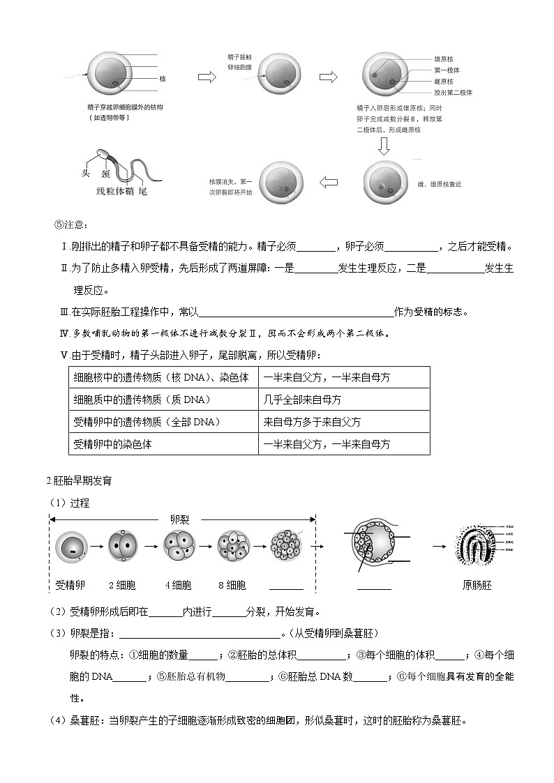 高考生物一轮-胚胎工程（知识清单）第2页