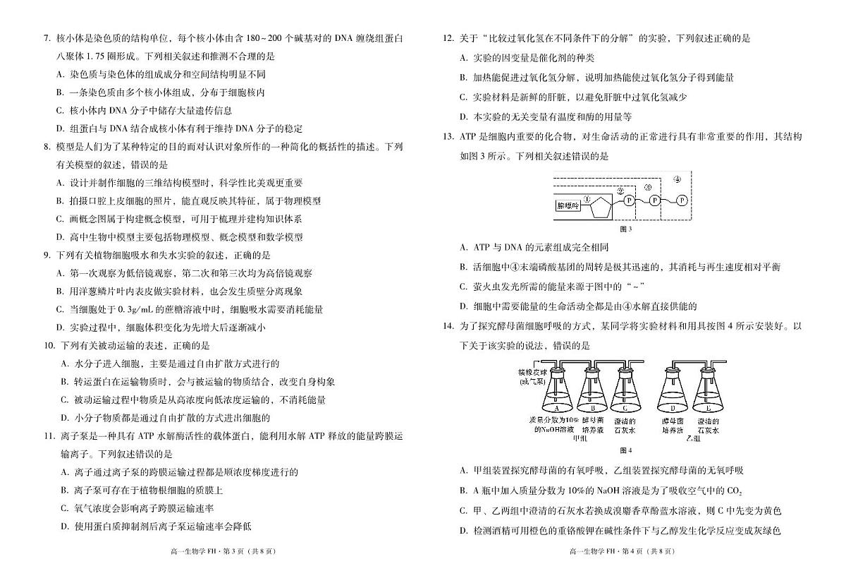 2025~2026学年度第一学期高一年级第三次月考生物-试卷第2页