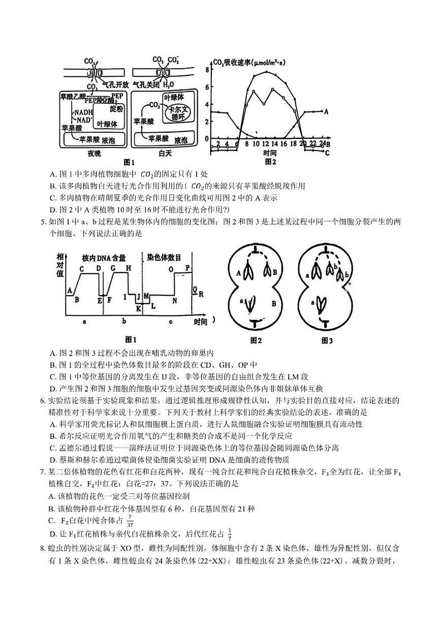 新疆维吾尔自治区2026年普通高考适应性检测分学科第二次模拟考试生物学试题（含答案）第2页