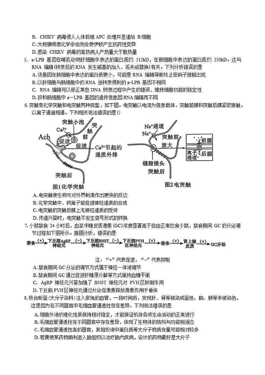 广东省惠州市2026届高三上月考第二次调研考试生物学试题（含答案）第2页