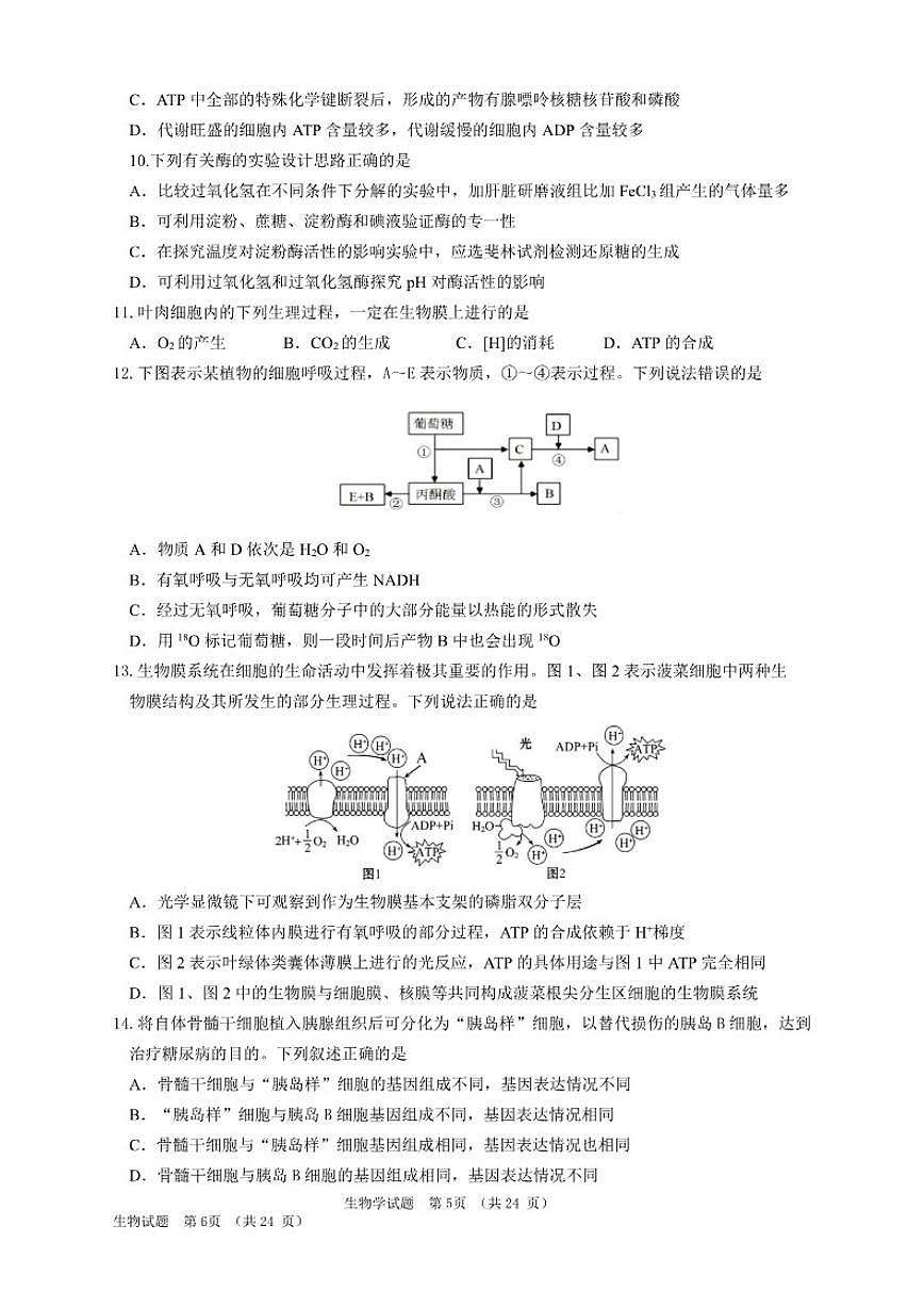 2025-2026学年吉林省长春外国语学校高一上学期期末考试生物试题（含答案）第3页