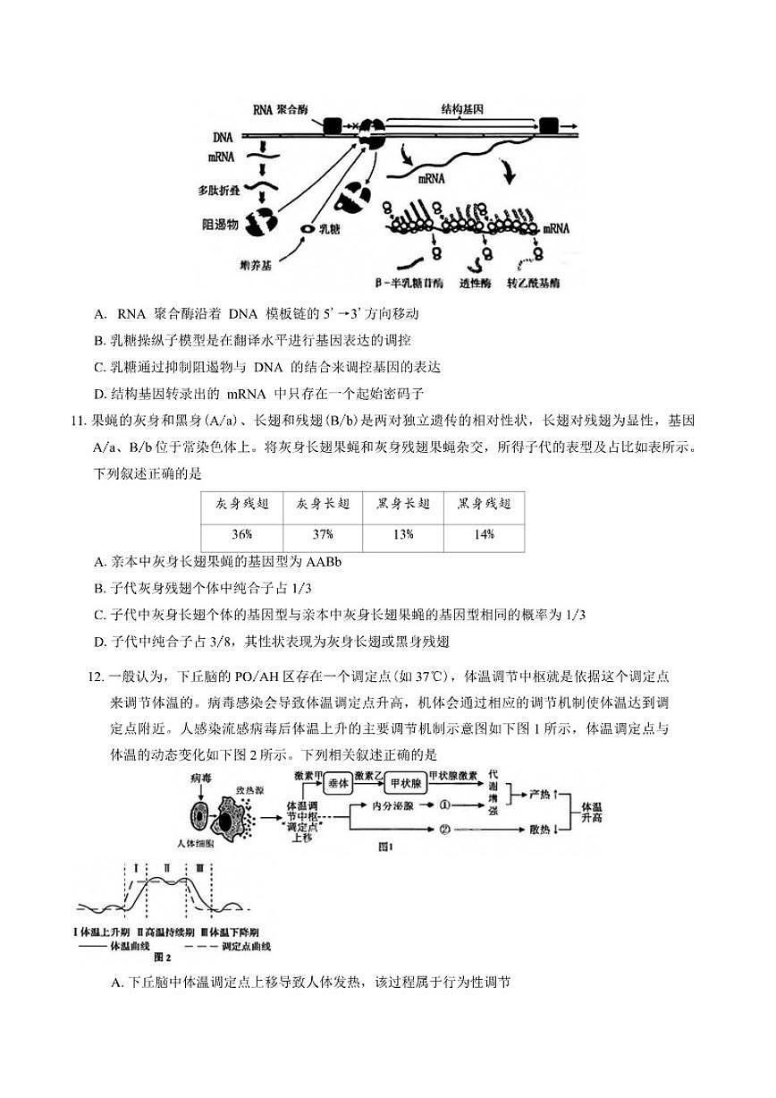 2025-2026学年黑龙江省哈尔滨市哈三中度上学期期末考试高三生物学试题（含答案）第3页