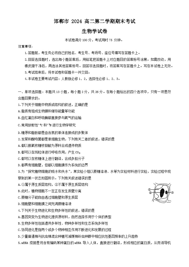 河北省邯郸市2023-2024学年高二下学期期末考试生物试题第1页