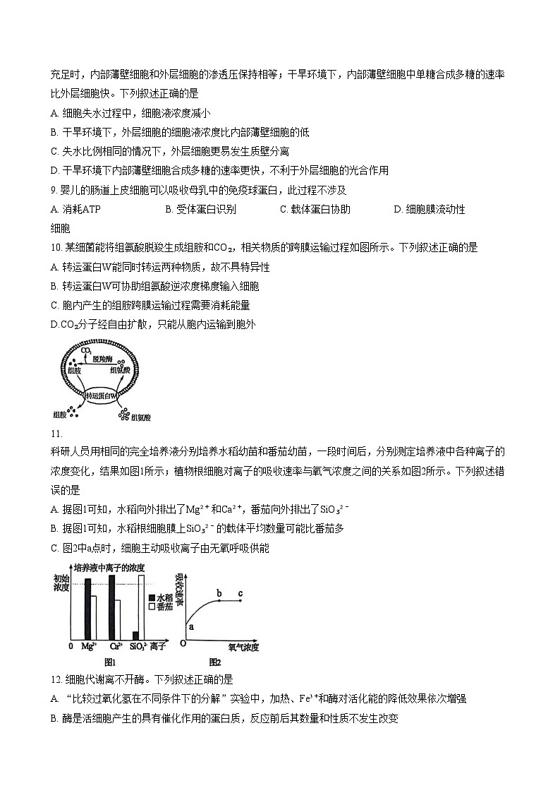 河南省2025_2026学年第一学期期末考试高一生物试卷（图片版，含答案）第3页