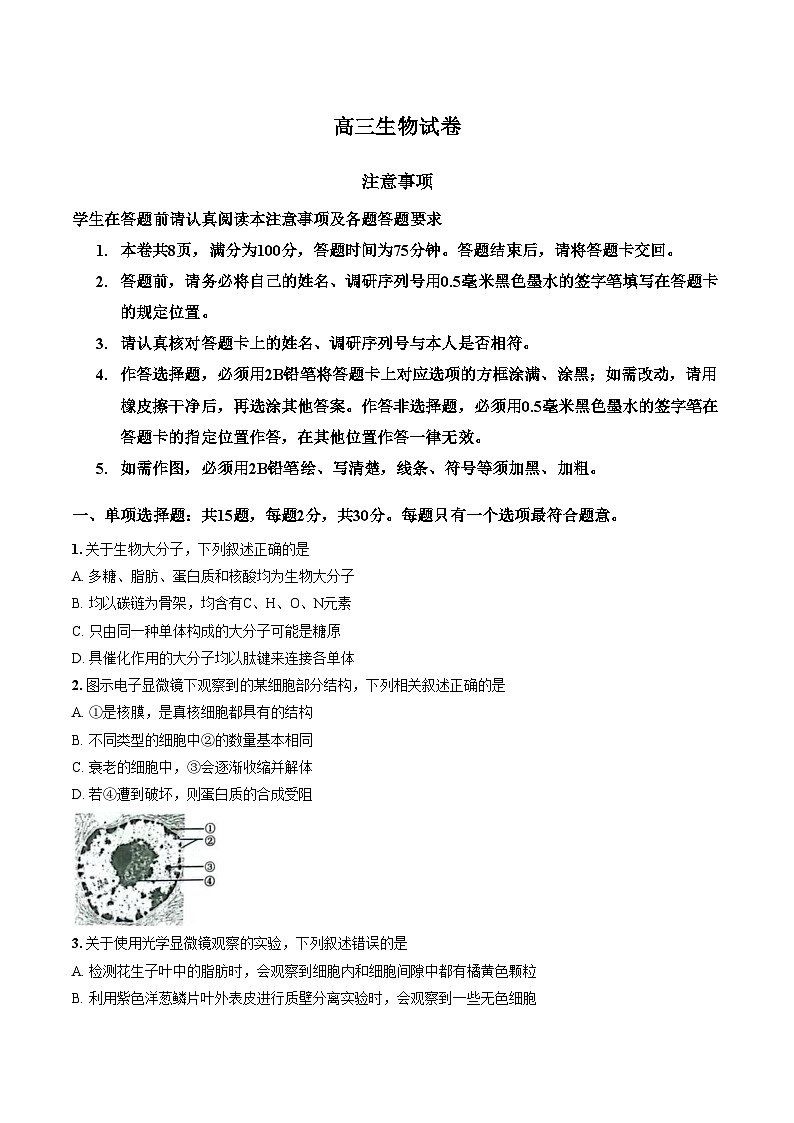 江苏苏州市2025_2026学年高三上学期期末生物试卷（图片版，含答案）第1页