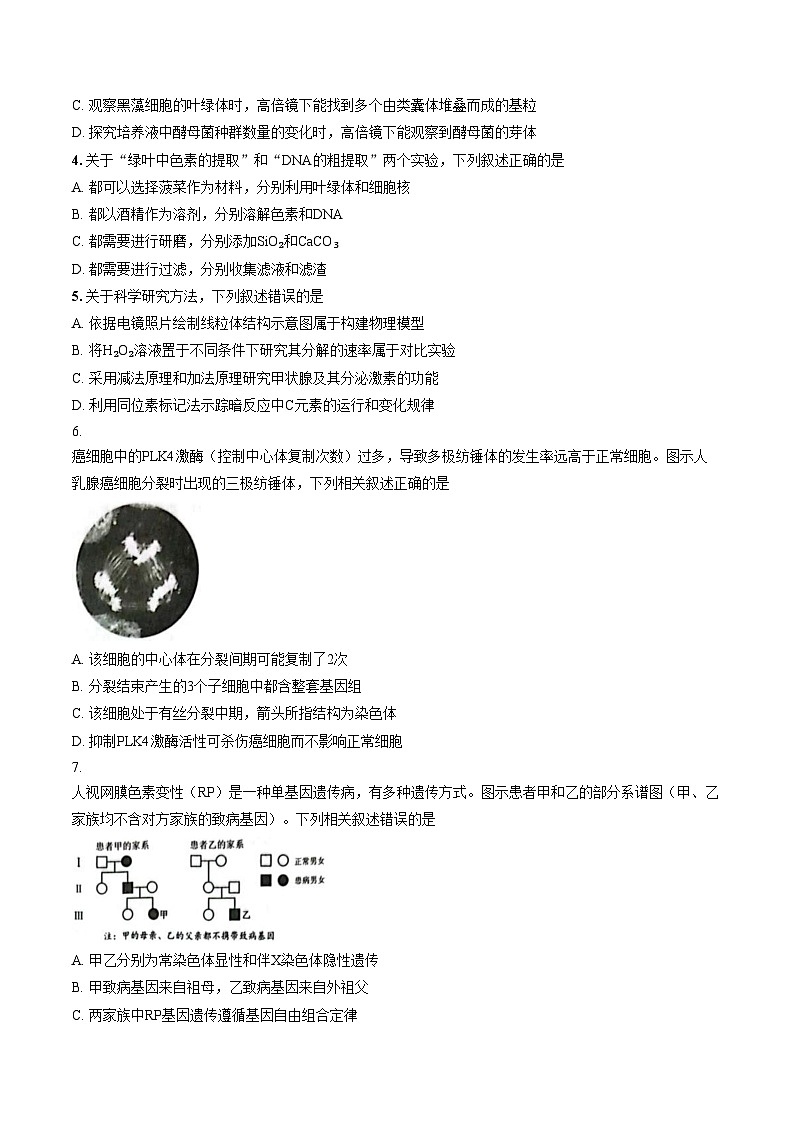 江苏苏州市2025_2026学年高三上学期期末生物试卷（图片版，含答案）第2页