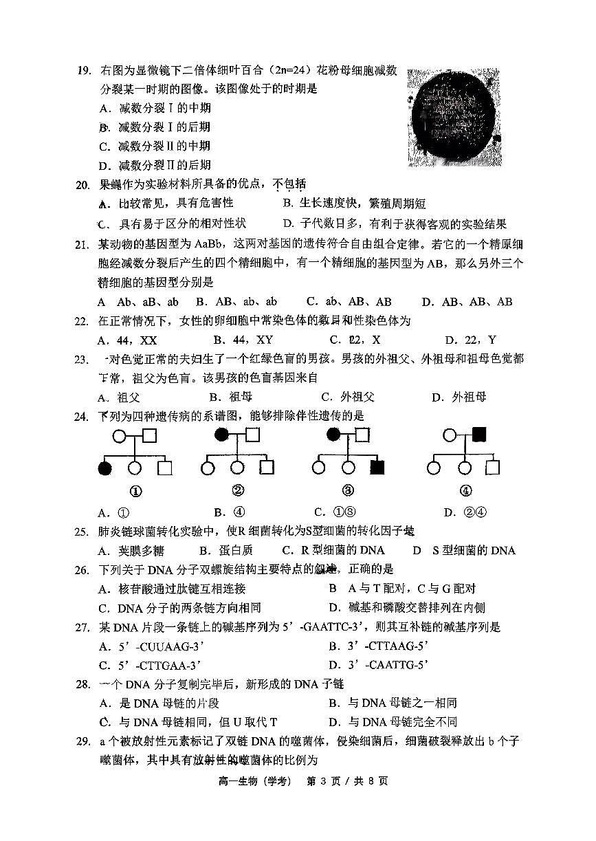 2025北京北师大燕化附中高一（下）期中生物（学考）试卷第3页