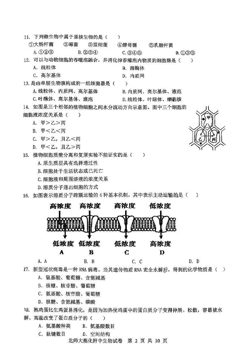 2024北京北师大燕化附中高一（上）期中生物试卷第2页