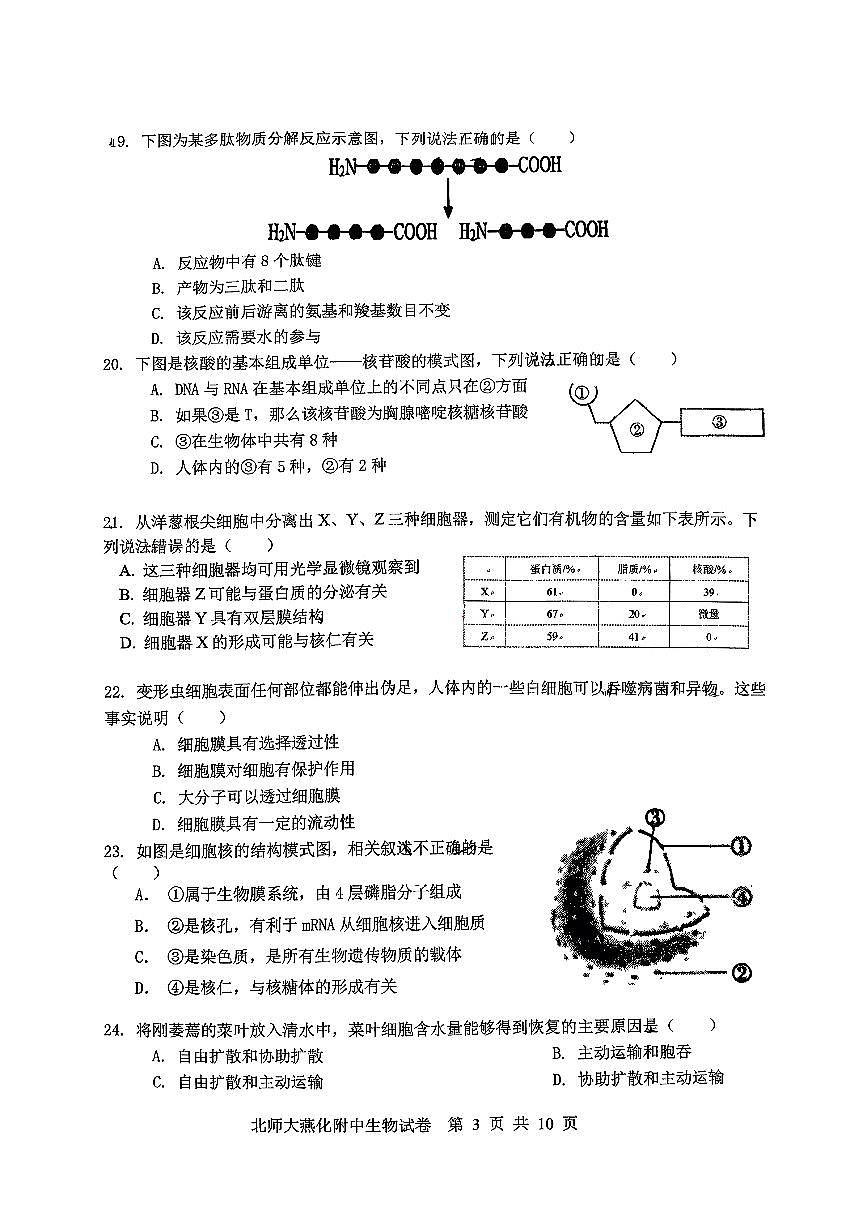 2024北京北师大燕化附中高一（上）期中生物试卷第3页