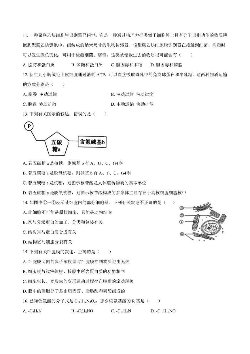 2025-2026学年吉林省长春五中高一（上）期末生物试卷（含答案）第3页