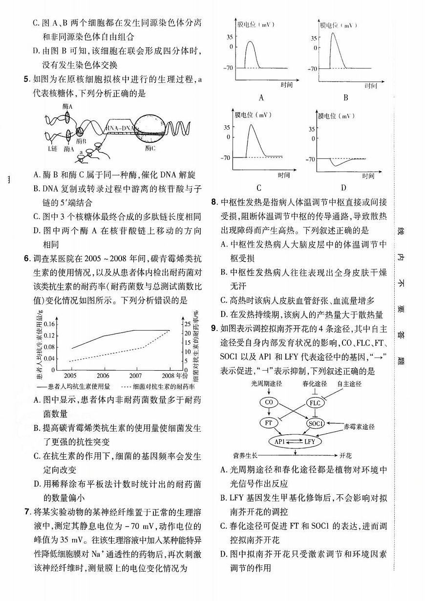 2026百校联盟高考模拟领航卷生物试卷十+答案第2页