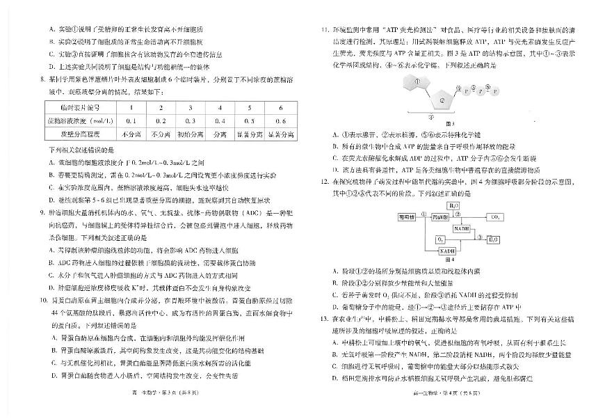 2024~2025学年高一年级期末监测卷生物-试卷第2页