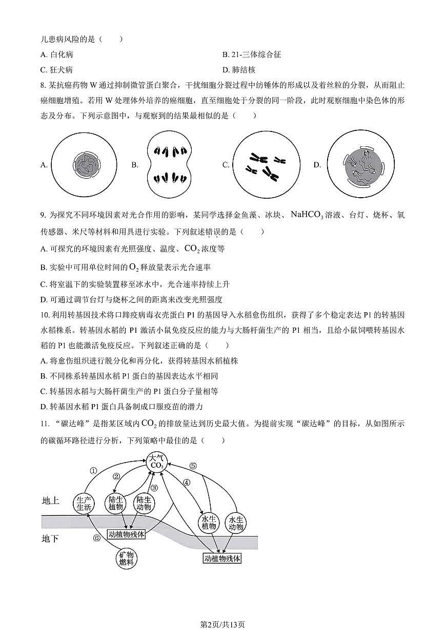 2026浙江高考真题生物（1月）（教师版）试卷无答案第2页