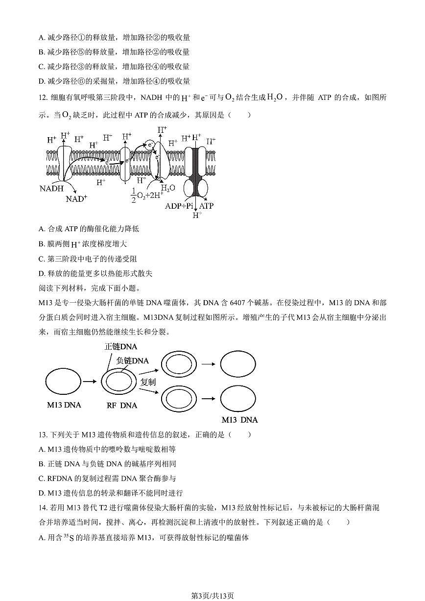 2026浙江高考真题生物（1月）（教师版）试卷无答案第3页