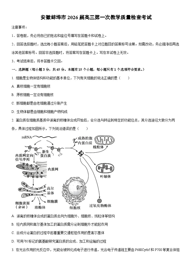 2026届安徽蚌埠市高三上期末第一次教学质量检查考试生物试卷（学生版）第1页